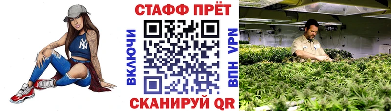 Где купить наркоту Сясьстрой Альфа ПВП  Марихуана  Меф  Гашиш 