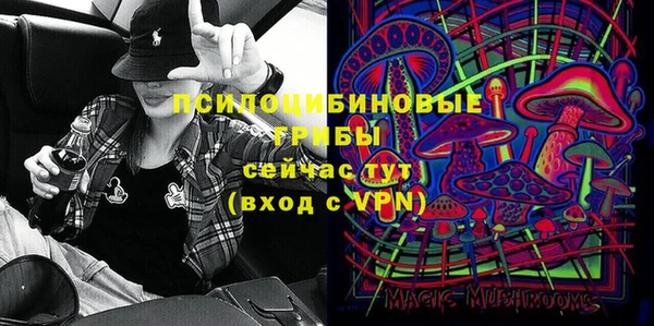 прущие грибы Алексин