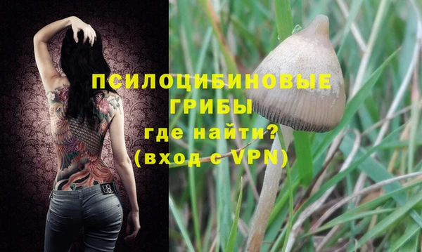 прущие грибы Алексин
