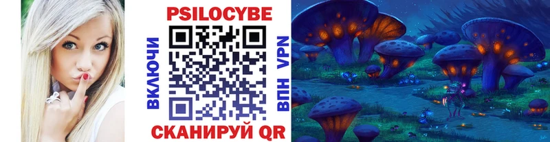 Псилоцибиновые грибы прущие грибы  Сясьстрой 