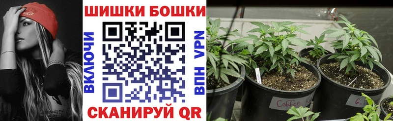 Каннабис Amnesia Сясьстрой